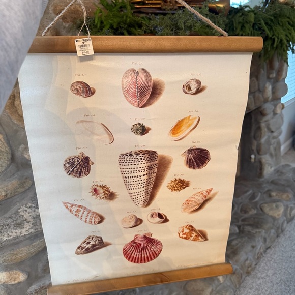 Cost Plus World Market Other - World Market Shell Printed Wall Hanging NWT